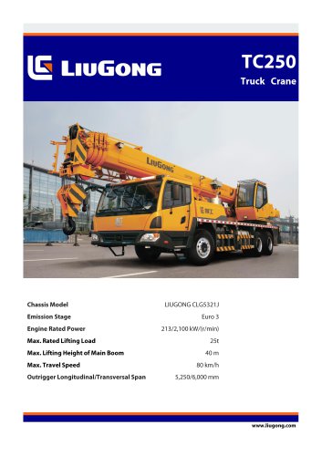 TC250 truck crane