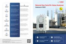 Natural Gas Calorific Value Analyzer