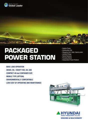 Packaged power station