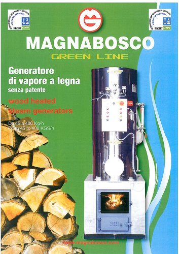 wood heated steam generator