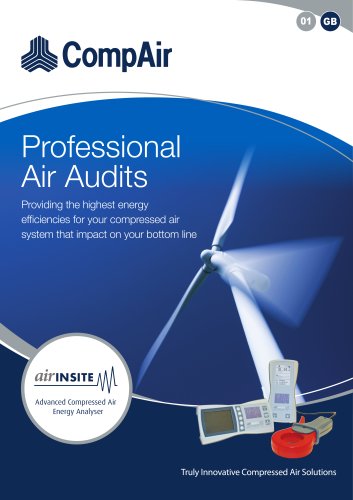 AirInsite air audit