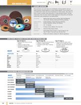 Non-Woven disc 2010
