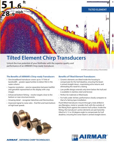 Tilted Element Chirp Transducers