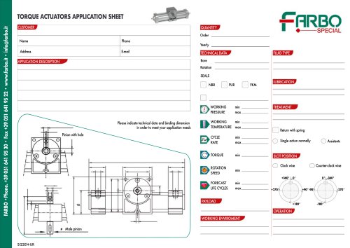 Special Torque actuators | Application sheet