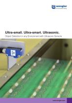 Product Flyer Ultrasonic