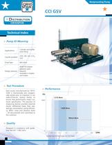 CCI GSV