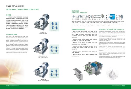 rotor pump 