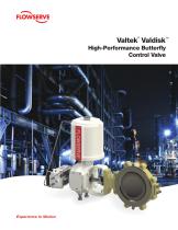 Valtek®  Valdisk™ High-Performance Butterfly Control Valve