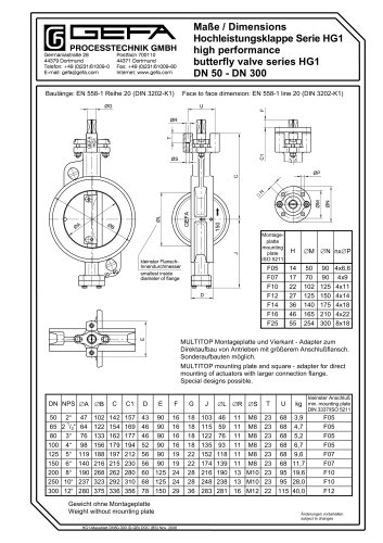 HG1 DN 50 - 300