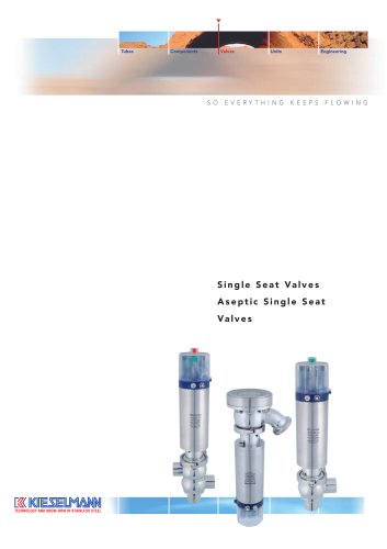 Single-seat valves