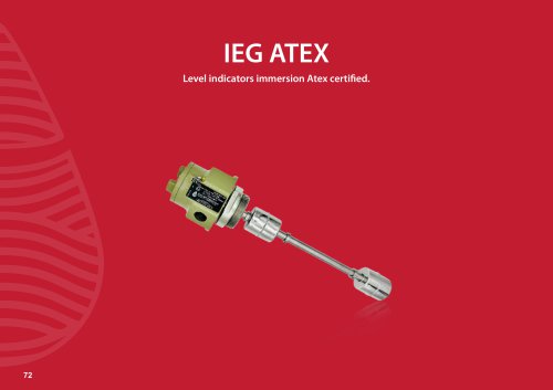 IEG ATEX 2024