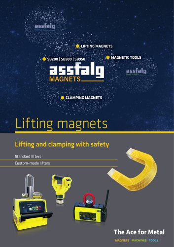 Lifting Magnets