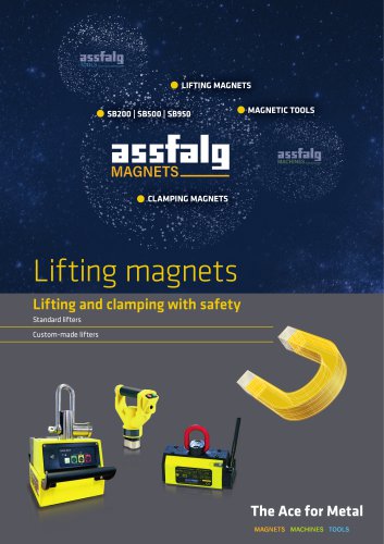 Lifting Magnets