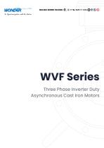 WVF Series Three Phase Inverter Duty Asynchronous Cast Iron Motors