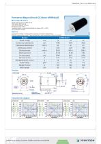 Permanent Magnet Brush DC Motor APBR42x85