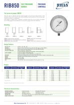 RIB850 Test pressure gauge Riels Instruments