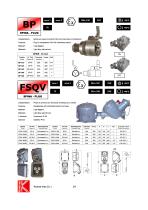 PLUGS BP FOR RECEPTACLES FSQ - FSQA