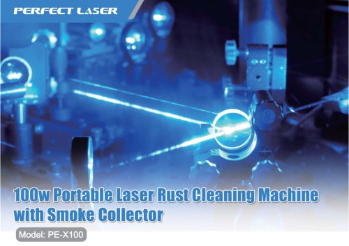 100w Portable Laser Cleaning Rust Paint Removal Machine with Smoke Collector