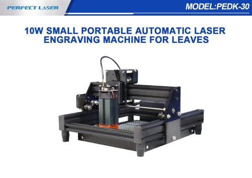 Perfect Laser - 10W Small Portable Automatic Laser Engraving Machine  PEDK-30 for Leaves