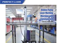 Perfect Laser- Lifting Type Laser Marking Machine for Bottles or Production Line PEDB-600