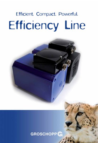 Efficiency Line