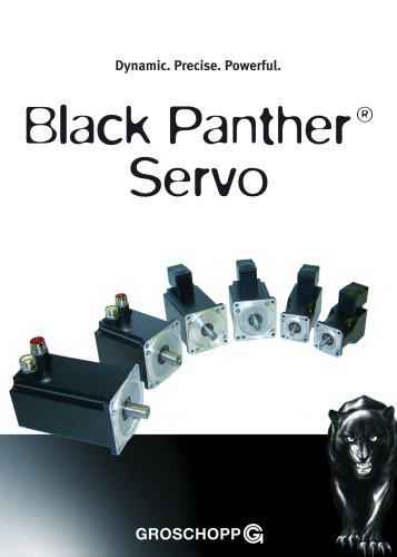 servomotor Black Panther type EGK