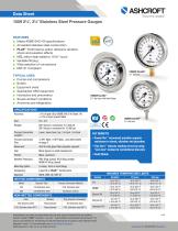1009 2½˝, 3½˝ Stainless Steel Pressure Gauges