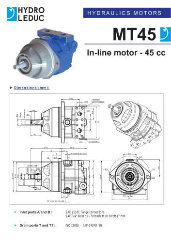 MT45 series motors