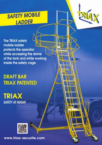 Flyer mobile safety ladder