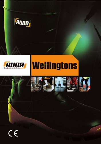 AUDA 2006 Wellingtons