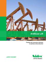 Flexible and innovative solutions to optimize well production Artificial Lift