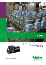 High-efficiency 3-phase induction motors for variable speed control