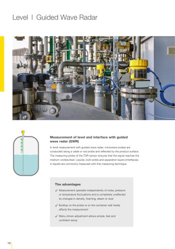 Product catalogue: Guided Wave Radar VEGAFLEX (Level)