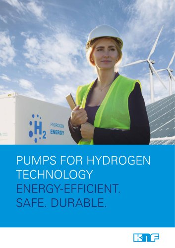 Hydrogen Fuel Cells