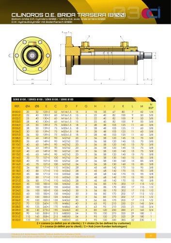 BOTTOM-BRIDLE D.R. CYLINDERS [8100]
