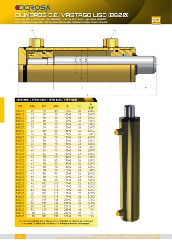 D.R. CYLINDERS WITH PLAIN ROD [8600]