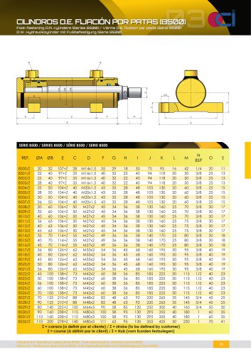 FOOT-FASTENING D.R. CYLINDERS [8500]