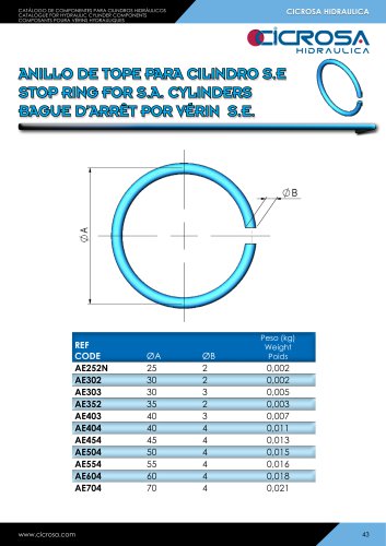 HYDRAULIC CYLINDER SEALS