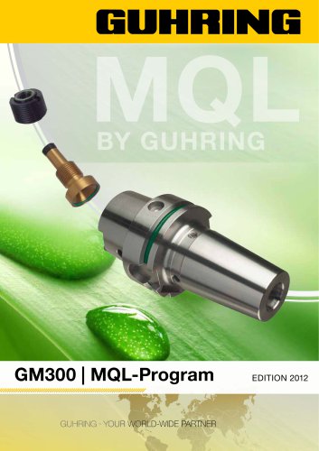 GM 300 - MQL-Program