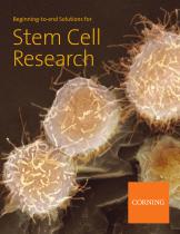 Stem Cell Research