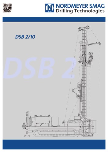 DSB 2/10