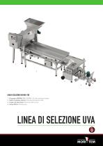 LINEA DI SELEZIONE UVA